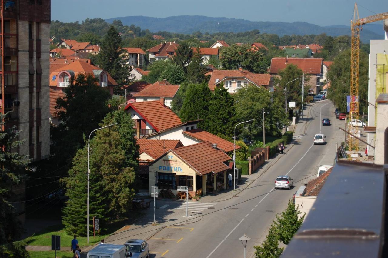 Vila Zora Apartman Banja Koviljača Exterior foto
