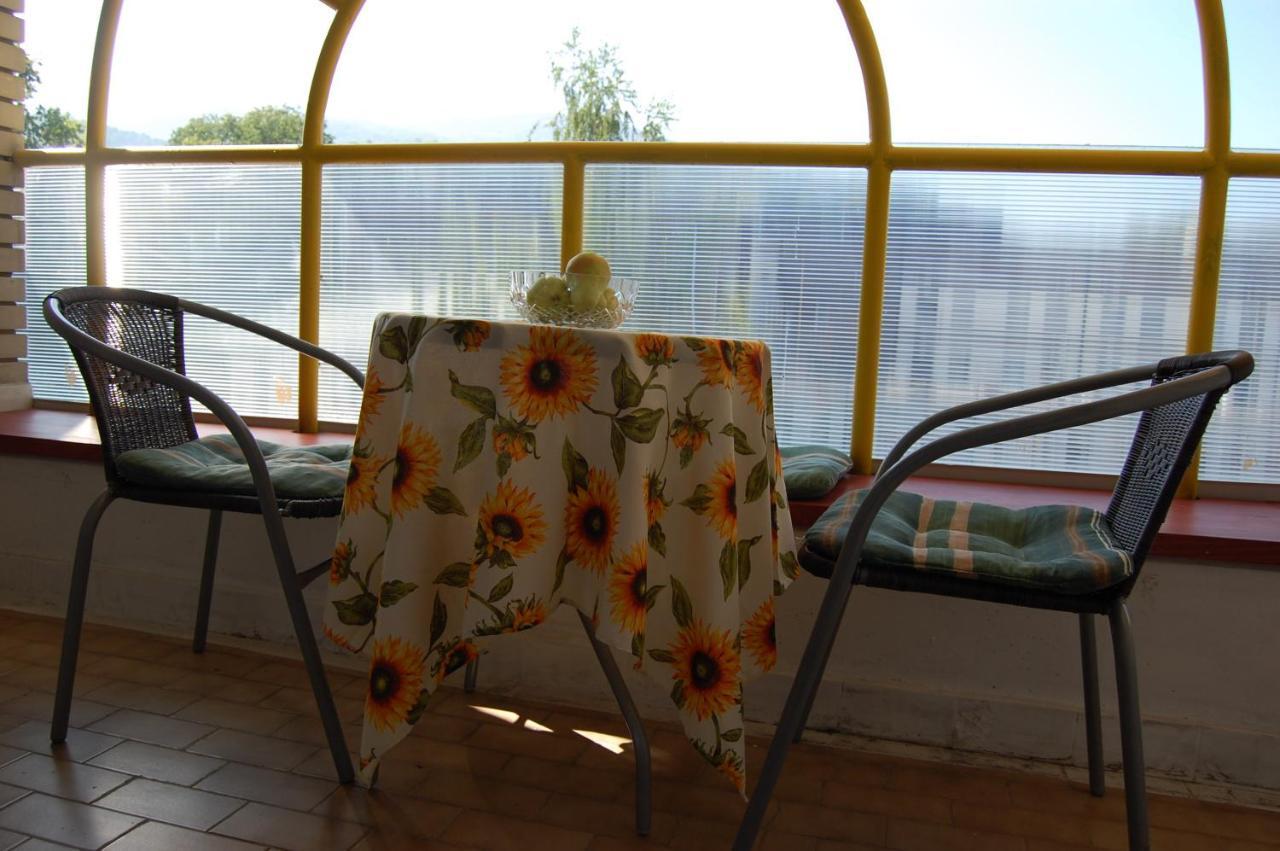 Vila Zora Apartman Banja Koviljača Exterior foto